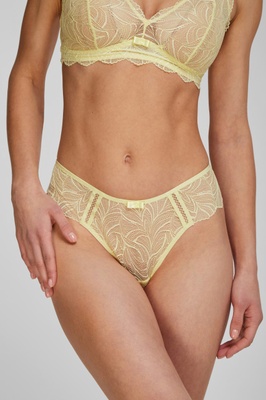 Lace thong panties yellow DANDELION Kleo 3517, Yellow, L