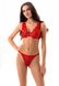 Push-up bra molded cup red ELFY Jasmine 1072/51, Red, 70B